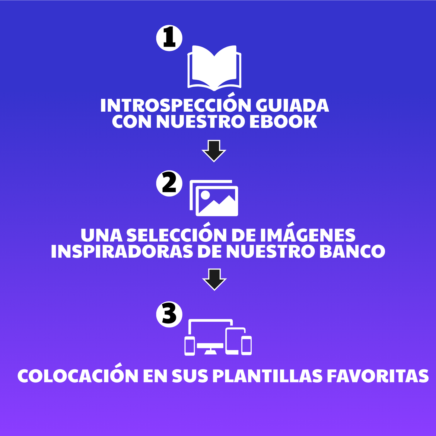 Visuality - Paquete de Bienvenida de Visionboard